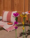 strandlaken-placereservee-pink-lemonade-petite-4.webp
